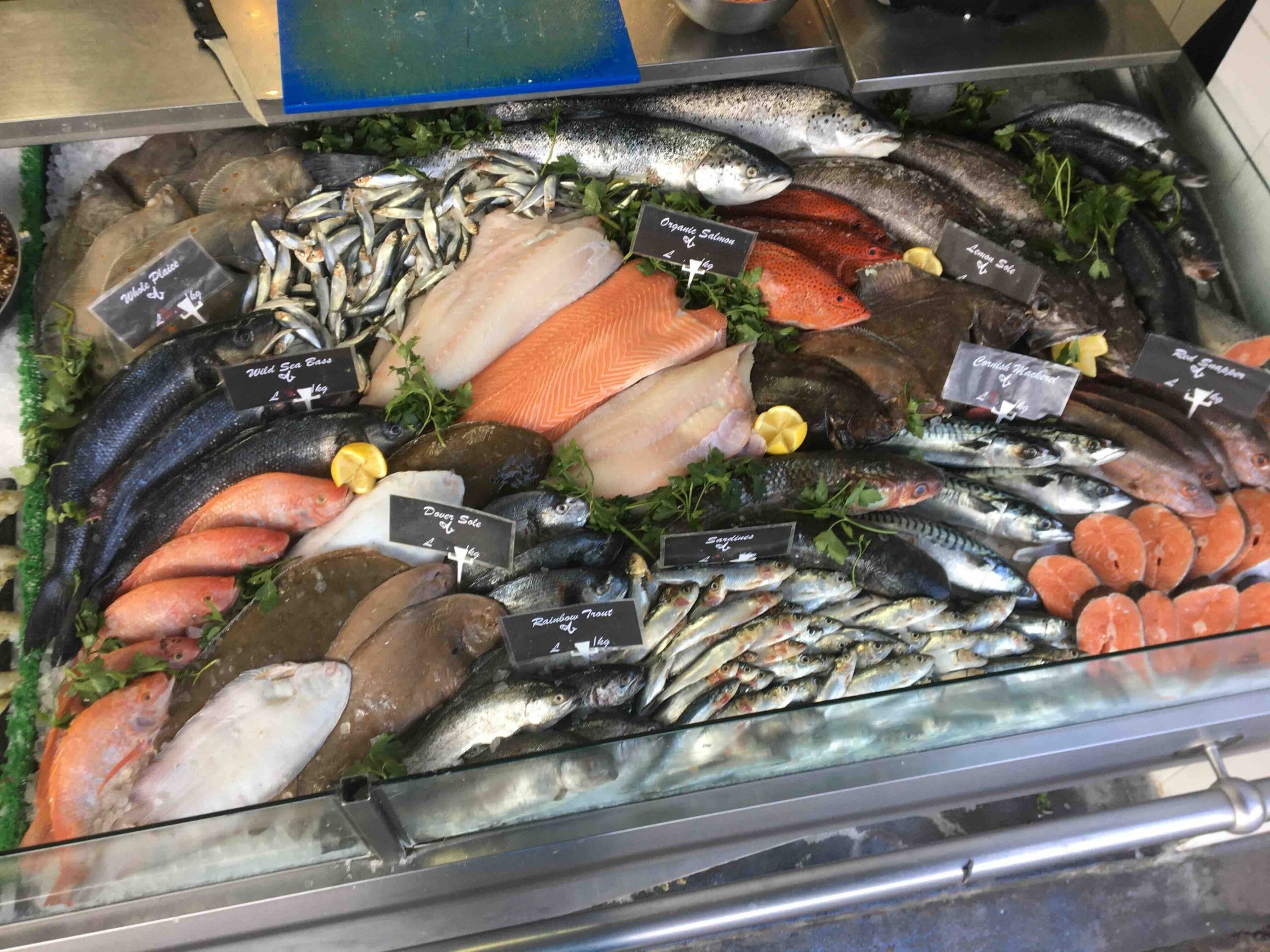 Fish Selection
