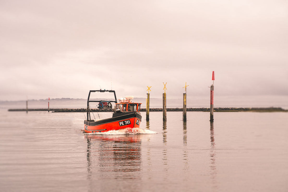 Where Our Fish Are Locally Caught